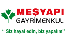 meşyapı